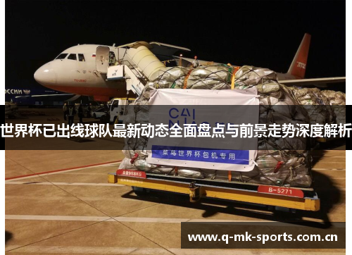 世界杯已出线球队最新动态全面盘点与前景走势深度解析